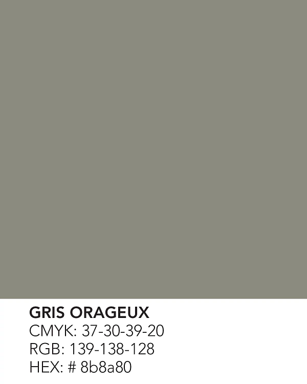 Gris Orageux (631)