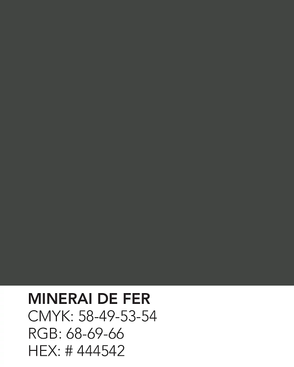Minerai de Fer/Charbon