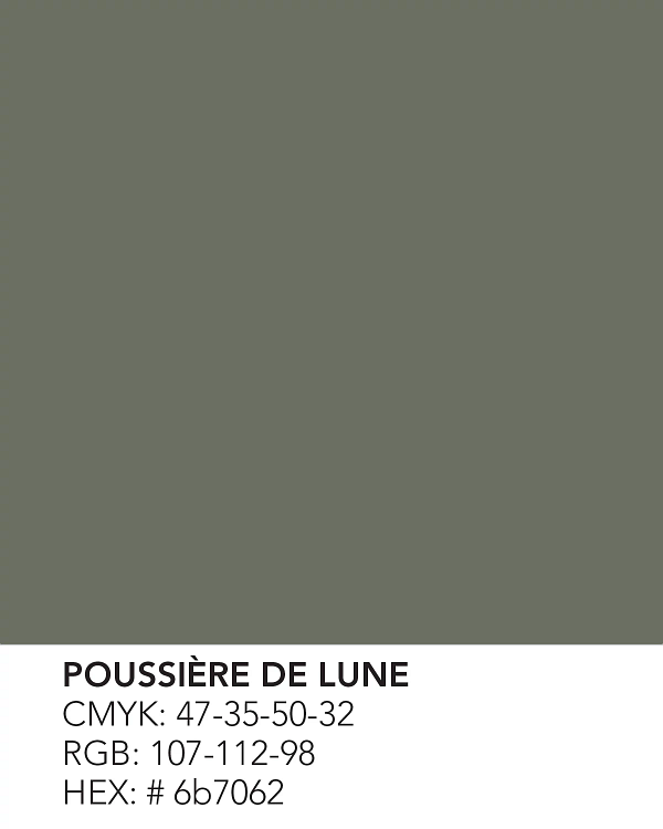 Poussière de Lune (653)